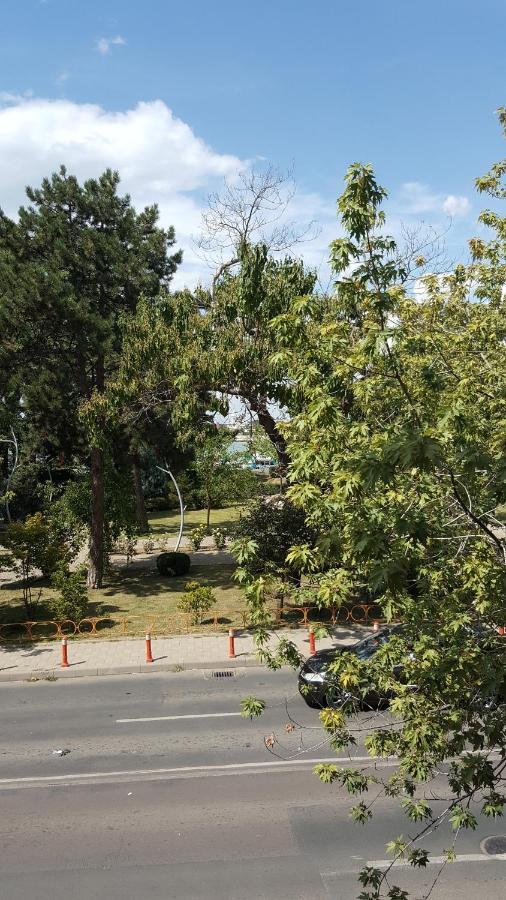 Mia Apartament Tulcea Exteriér fotografie